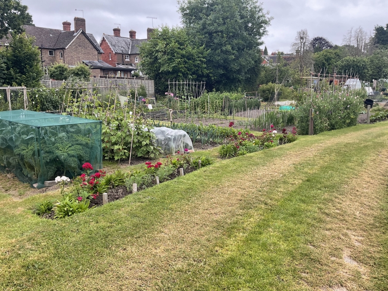 Imberhorne Allotments